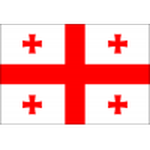 Georgia U21 badge