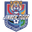 Tianjin Teda badge