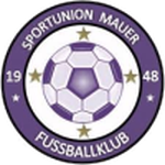 Union Mauer badge