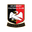 Aylesbury Vale Dynamos
