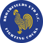 Brockenhurst badge