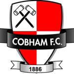 Cobham badge