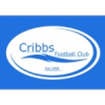 Cribbs badge