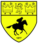 Newmarket Town badge
