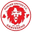Punjab United badge