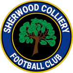 Sherwood Colliery badge
