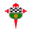 Racing Ferrol badge
