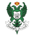Toledo badge