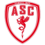 Cannes badge